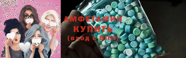 гидра Рославль